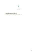 Referāts 'Mājokļa uzturēšana un tīrīšanas līdzekļi', 24.