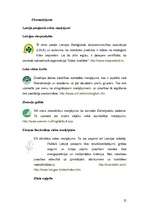 Referāts 'Mājokļa uzturēšana un tīrīšanas līdzekļi', 25.