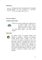 Referāts 'Mājokļa uzturēšana un tīrīšanas līdzekļi', 27.