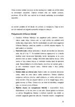 Referāts 'Mājokļa uzturēšana un tīrīšanas līdzekļi', 29.