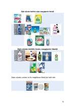 Referāts 'Mājokļa uzturēšana un tīrīšanas līdzekļi', 32.