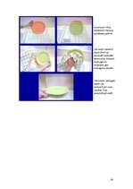 Referāts 'Mājokļa uzturēšana un tīrīšanas līdzekļi', 34.