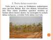 Prezentācija 'Septiņi Latvijas dabas brīnumi', 12.