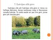 Prezentācija 'Septiņi Latvijas dabas brīnumi', 14.