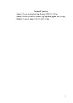 Eseja 'Runu sagatavošanas posmu ievērošanas nozīme uztraukuma mazināšanai', 3.