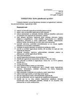 Paraugs 'Direktora darba pienākumi', 1.