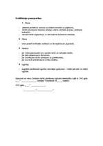 Paraugs 'Direktora darba pienākumi', 2.