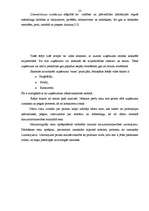 Prakses atskaite 'Kvalifikācijas prakses atskaite uzņēmumā', 22.