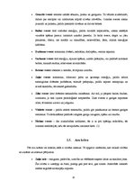 Referāts 'Krāsu ietekme uz cilvēku', 7.