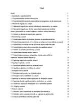 Prakses atskaite 'Finanšu grāmatvedība', 2.