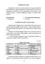 Prakses atskaite 'Finanšu grāmatvedība', 33.