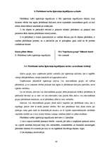 Prakses atskaite 'Finanšu grāmatvedība', 48.