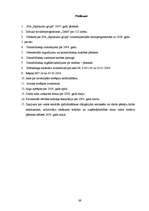 Prakses atskaite 'Finanšu grāmatvedība', 89.