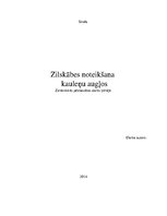 Referāts 'Zilskābes noteikšana kauleņu augļos', 1.