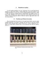 Referāts 'Zilskābes noteikšana kauleņu augļos', 14.