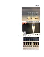 Referāts 'Zilskābes noteikšana kauleņu augļos', 20.