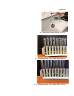 Referāts 'Zilskābes noteikšana kauleņu augļos', 21.