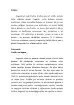 Konspekts 'Singapūra', 3.