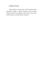 Konspekts 'Singapūra', 5.