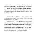 Konspekts 'Pārraižu nozīme pasaulē', 5.