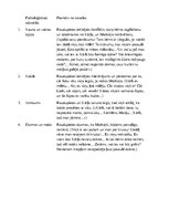 Konspekts 'Eiripīda traģēdijas "Mēdeja" un Rūdolfa Blaumaņa noveles "Raudupiete" analīze', 3.