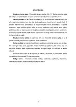 Diplomdarbs 'FINANSIĀLĀ STĀVOKĻA ANALĪZE SIA ”X”', 3.