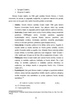 Diplomdarbs 'FINANSIĀLĀ STĀVOKĻA ANALĪZE SIA ”X”', 21.