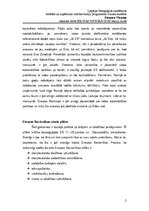 Eseja 'Eiropas Savienības trīs pīlāru būtība un raksturojums', 2.