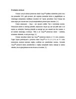 Referāts 'Mārketinga pētījums', 4.