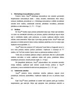 Referāts 'Mārketinga pētījums', 9.