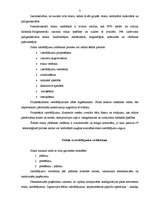 Referāts 'Stikla izstrādājumi', 3.