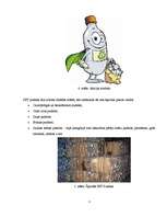 Referāts 'PET pudeļu apsaimniekošana', 3.