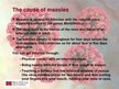 Prezentācija 'Measles', 4.