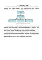 Biznesa plāns 'Biznesa plāns viesu namam "Bezdelīgas"', 8.