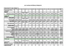 Biznesa plāns 'Biznesa plāns viesu namam "Bezdelīgas"', 25.