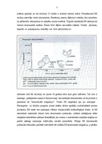 Referāts 'Eiropas Savienības ekonomiskā integrācija', 8.