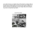 Eseja 'Latvijas notikumi manā dzimtā', 2.