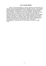 Referāts 'Virtuālā realitāte', 5.