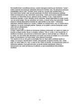 Referāts 'Virtuālā realitāte', 13.