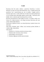 Referāts 'Baltijas valstu konstitūcijas un to atšķirības', 4.