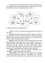 Referāts 'Uzņēmuma menedžmenta vispārējā analīze', 13.