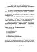 Referāts 'Uzņēmuma menedžmenta vispārējā analīze', 16.