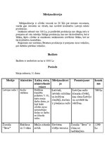 Paraugs 'Reklāmas aktivitāšu plāns "Dzintars"', 2.