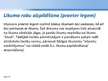 Prezentācija 'Darba tiesību normu piemērošana', 33.