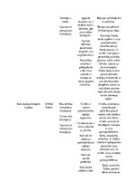 Konspekts 'Freidistu un neofreidistu teoriju salīdzinājums un ieguldījums attīstības psihol', 8.