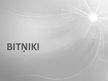 Prezentācija 'Bitņiki', 1.