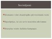 Prezentācija 'Tūrismā aktuālās problēmas, to risinājumi. Vides piesārņojums', 8.