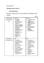 Konspekts 'Mārketinga plāna struktūra', 1.