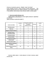 Konspekts 'Mārketinga plāna struktūra', 2.