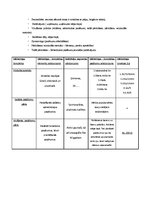 Konspekts 'Mārketinga plāna struktūra', 4.